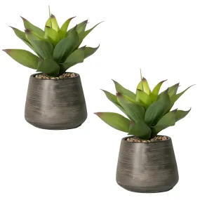 (2 Pack) 16" Tall Real Touch Realistic Agave Plant in Cement Vase -  Lifelike Plants, High Quality, Indoor & Outdoor Décor