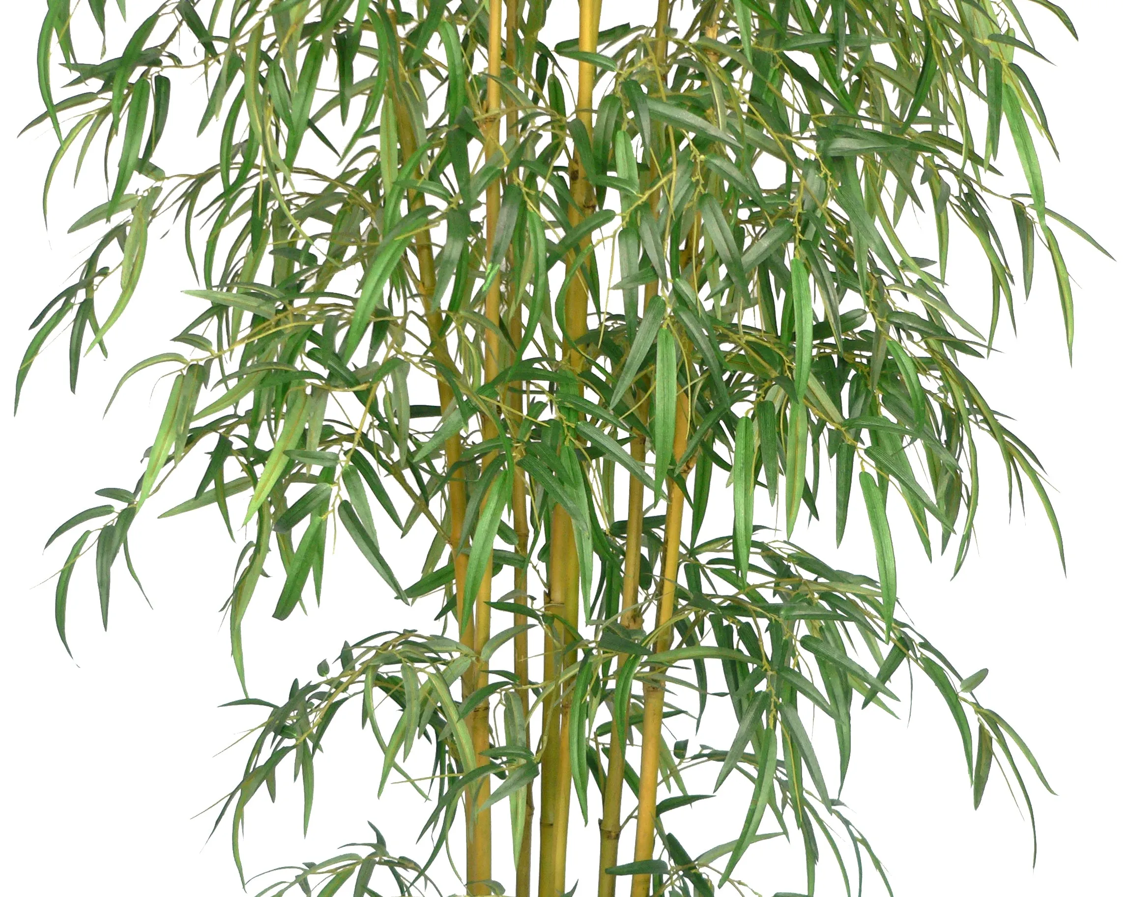 72" Tall Bamboo Tree with Pot