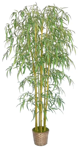 72" Tall Bamboo Tree with Pot