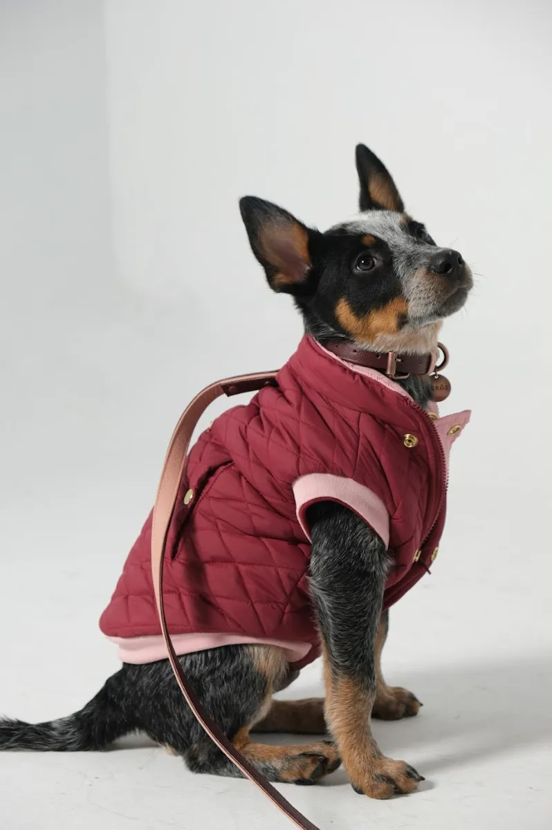 Dog Doble face Vest Ruby/Pink