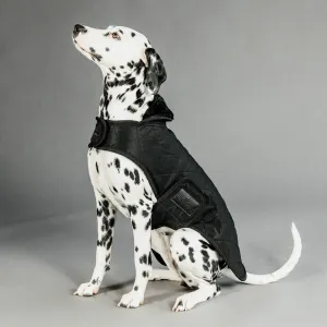 Kentucky Dogwear Dog Coat - Black