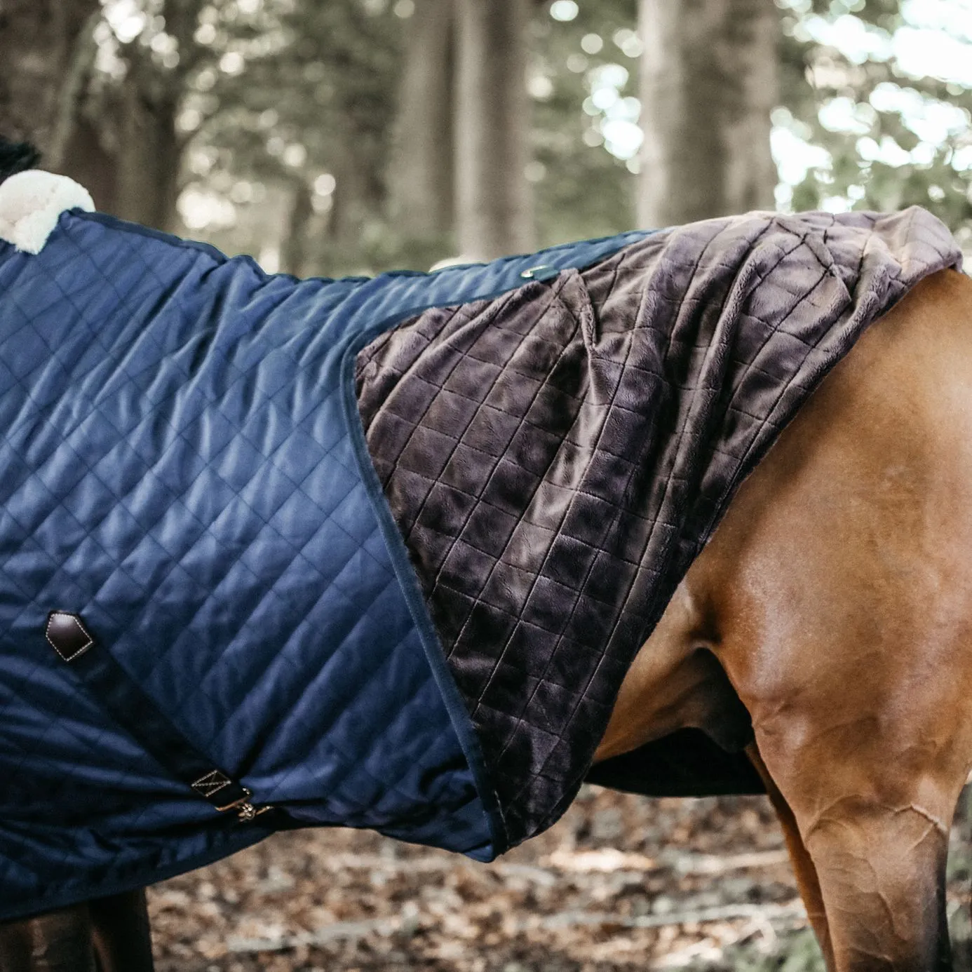 Kentucky Horsewear Stable Rug 0g - Navy