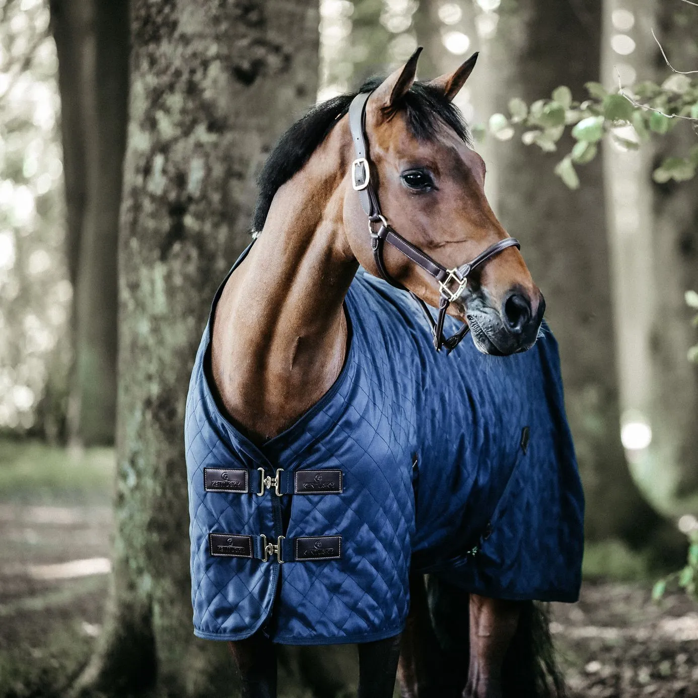 Kentucky Horsewear Stable Rug 0g - Navy