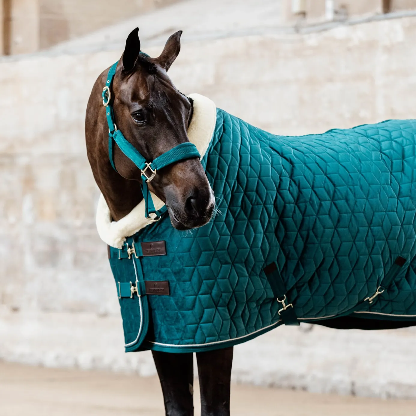 Kentucky Horsewear Velvet Show Rug - Emerald