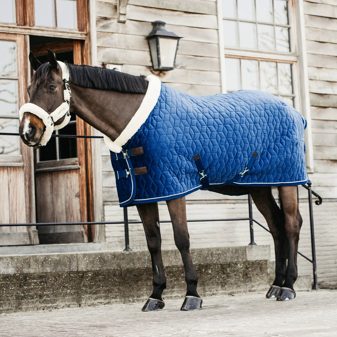 Kentucky Horsewear Velvet Show Rug - Navy