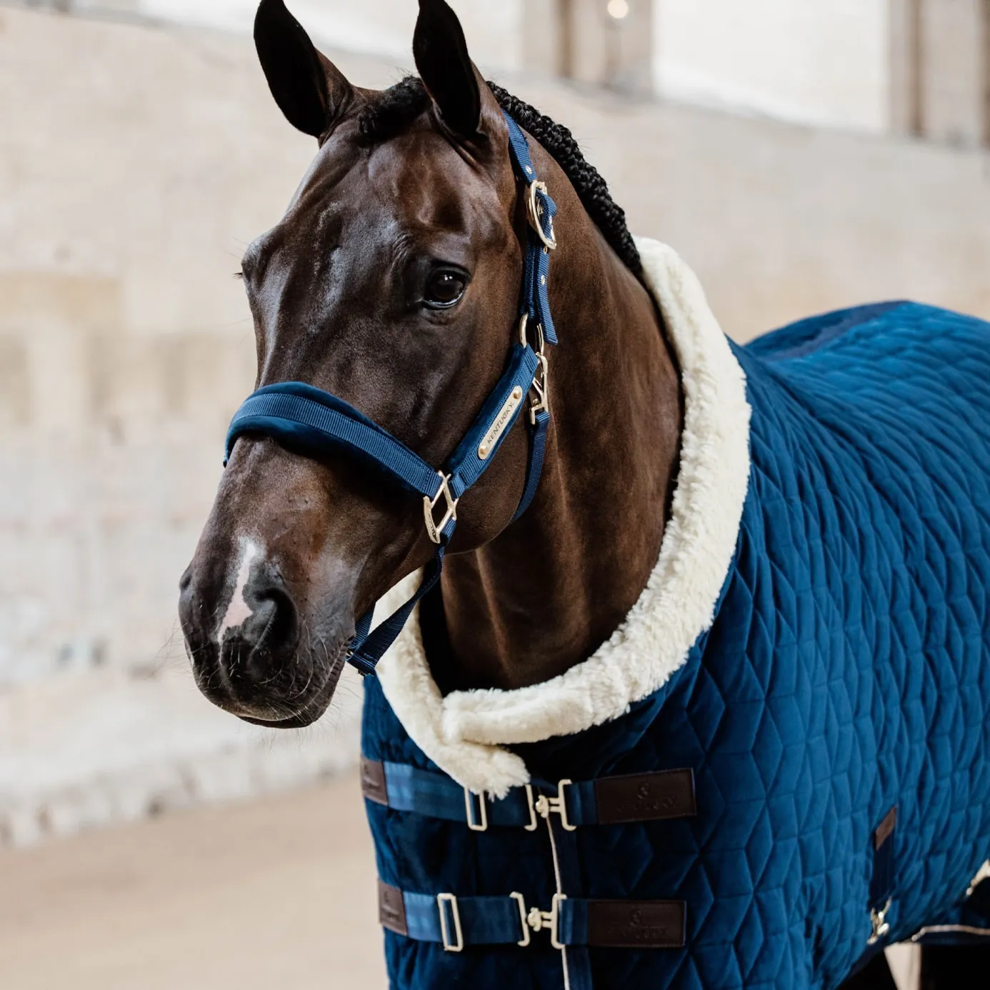 Kentucky Horsewear Velvet Show Rug - Navy