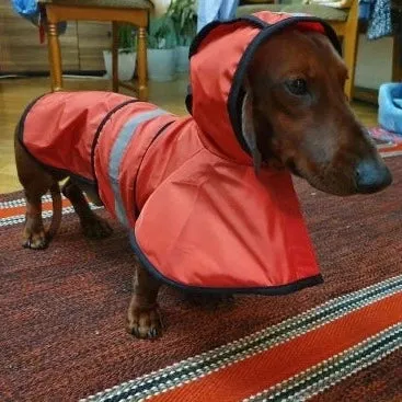 Sporty Dachshund Raincoat