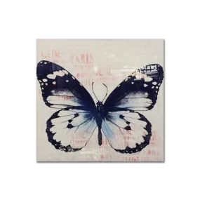 Vintage Butterfly Wall Art