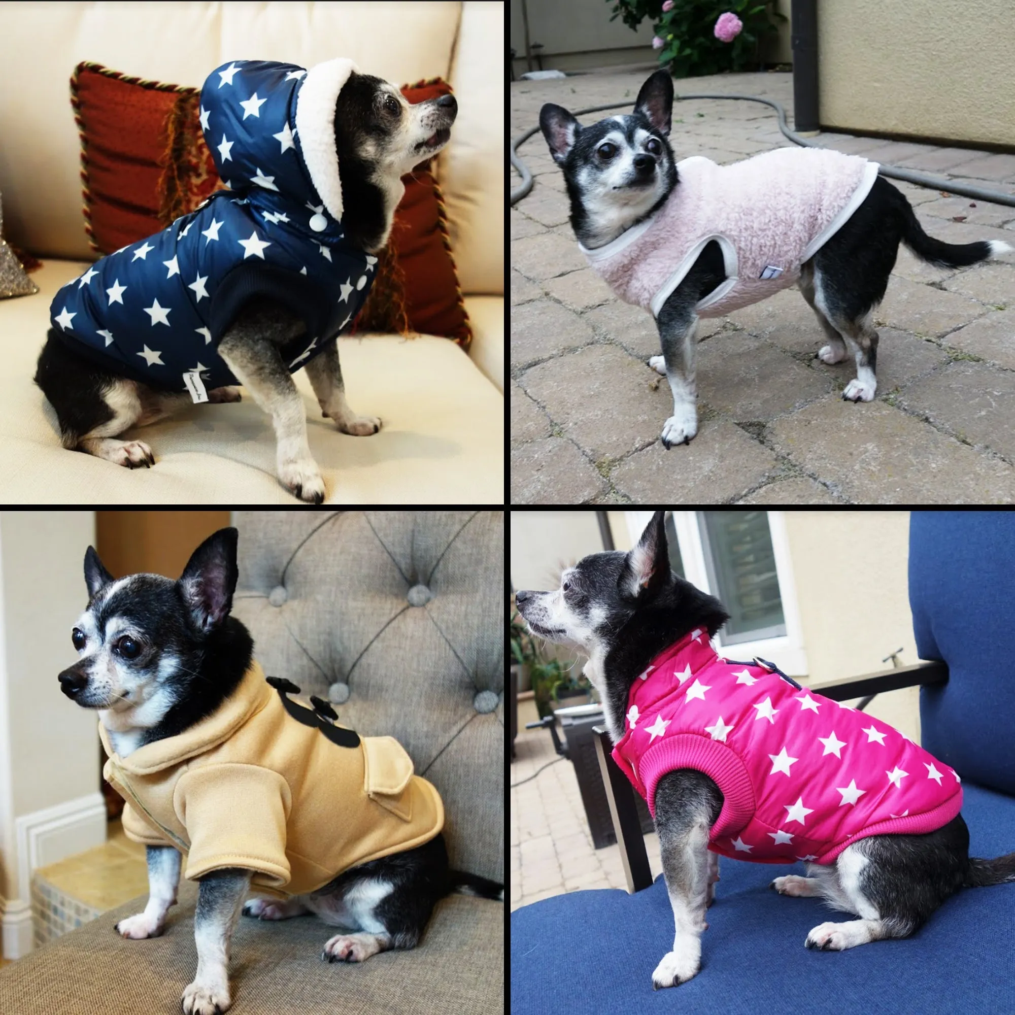 Warm Puff Dog Coat