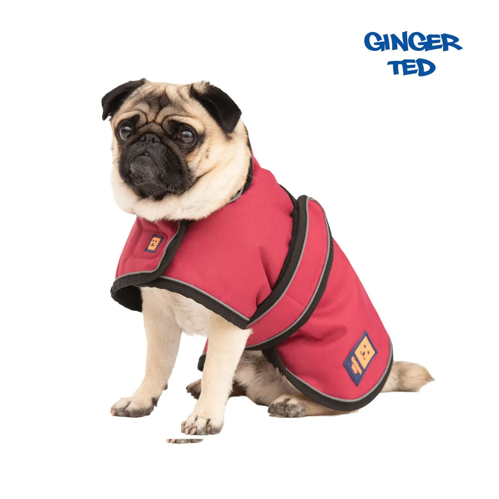 Waterproof Shower Lightweight Pug / Frenchie Dog Coat